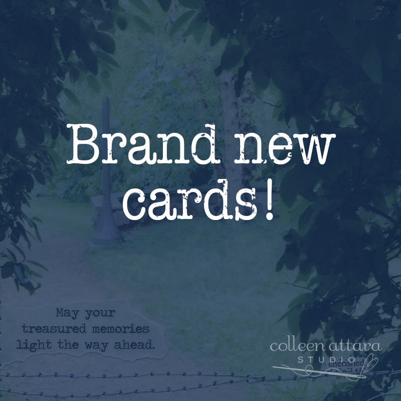 A package of brand new card designs. (Pre-order!)....These will ship out December 1st!